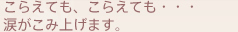 こらえても、こらえても・・・涙がこみ上げます。