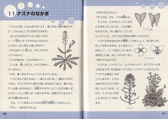 ̂Ȃ΂Ȃ(1) ̂Ƃ񂫂傤