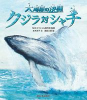 クジラ対シャチ 大海原の決闘
