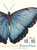 ̒nɂ Ɖ Sensational Butterflies
