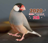 2020N ~jJ_[ 