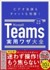 Microsoft TeamspUS V