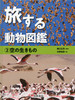 铮}(2) ̐