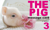 THE PIG message card 3