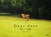 Dear deer ̊y