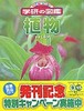 植物