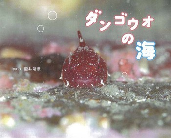 _SEI̊C