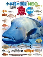 wق̐}NEO  kVŁl DVD