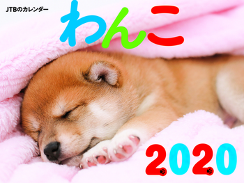 JTB̃J_[  2020