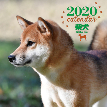 2020N 唻J_[ Č