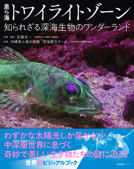 CgCCg][ mꂴ[C̃_[h
