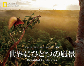 iVi WIOtBbN J_[2024 EɂЂƂ̕i Beautiful Landscapes
