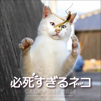 2024 KlRJ_[