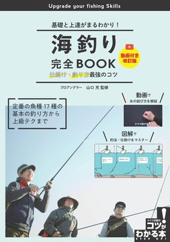 Cނ芮SBOOK d|Eނŋ̃Rc t bƏB܂킩I