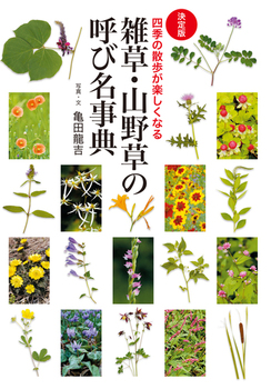 mŁnGER쑐̌ĂіT lG̎UyȂ