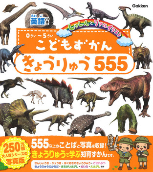 ǂ 傤イ555 p ႵƃACXg