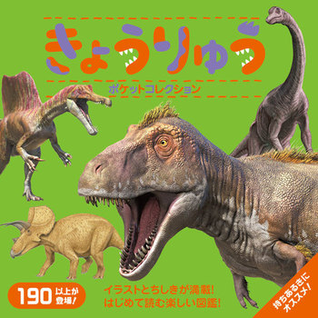 傤イ|PbgRNV