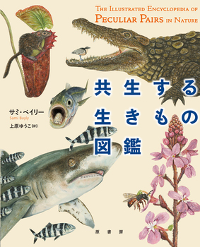 鐶̐}