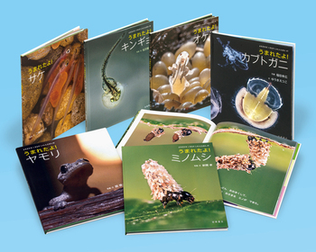 ݂ ̂Ⴕ񂦂قq6riS6j