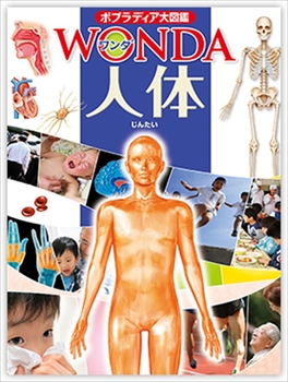 |vfBA}WONDA l