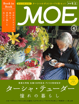 MOE 2015N4