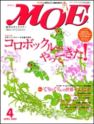 MOE 2004N4