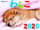 JTB̃J_[  2020