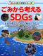 ݂lSDGs