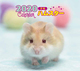 2020N ~jJ_[ nX^[