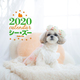 2020N 唻J_[  V[EY[