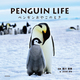 PENGUIN LIFE yM₱̂Ƃ