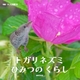 gKlY~ Ђ݂̂炵