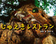 ウXg