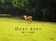 Dear deer ̊y