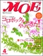 MOE 2004N4