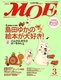 MOE 2005N3