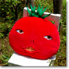g}g@NbV