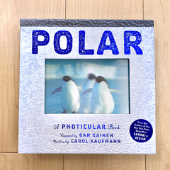 POLAR i|[[mŁj