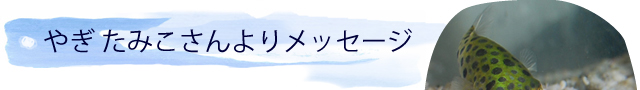 € ݂胁bZ[W