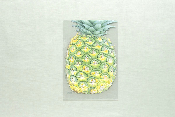 r^I NAt@C A5 pCibviG{irIWiObYj̏i摜2