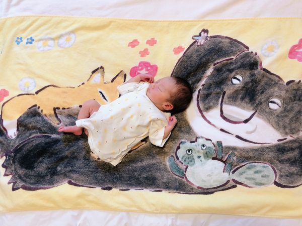 【月齢0〜3ヶ月】5000円 絵本&グッズセット こぐまちゃんの商品画像6