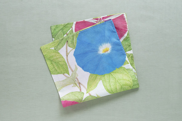 r^I nJ` iG{irIWiObYj̏i摜2