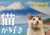 �⍇���� �L���D�� �J�����_�[2027