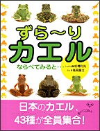 ずら～りカエル ならべてみると… | 高岡 昌江,松橋 利光 | 16件の
