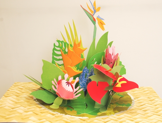 豪華版 お花のポップアップ（Paper Blossoms） | Ray Marshall