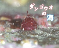 _SEI̊C