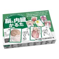 脳と内臓かるた 絵本ナビ 脳と内臓かるた制作委員会 みんなの声 通販 脳と内臓かるた 絵本ナビ 脳と内臓かるた制作委員会 みんなの声 通販