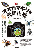 オオカマキリと同伴出勤 昆虫カメラマン 虫に恋して東奔西走 絵本ナビ 森上信夫 みんなの声 通販