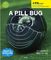 A PILL BUG  _SV