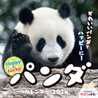 PANDA KENJI（作品一覧・著者プロフィール） | 絵本ナビ：レビュー・通販